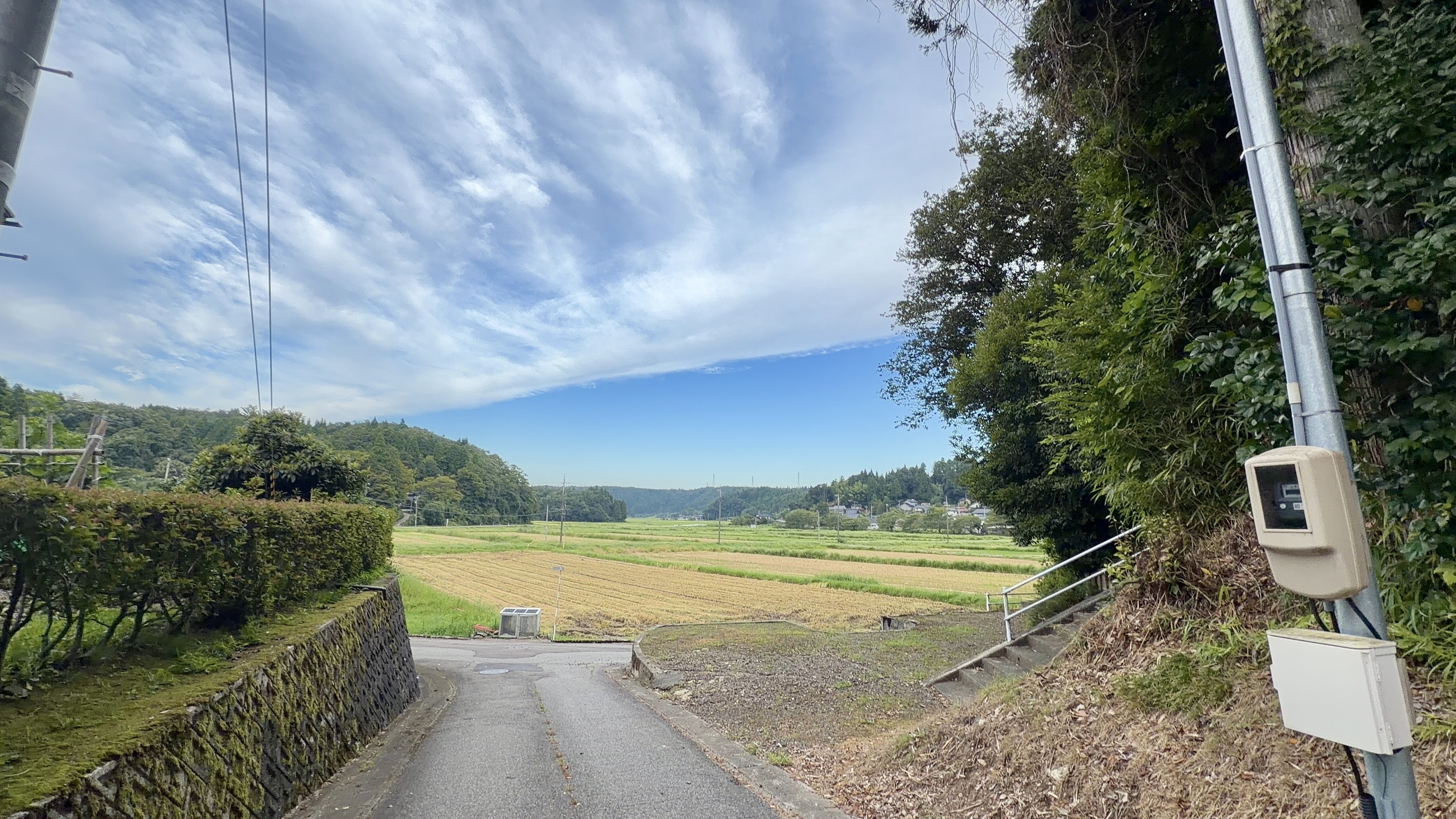 高台から見える田園風景と、遠くの集落