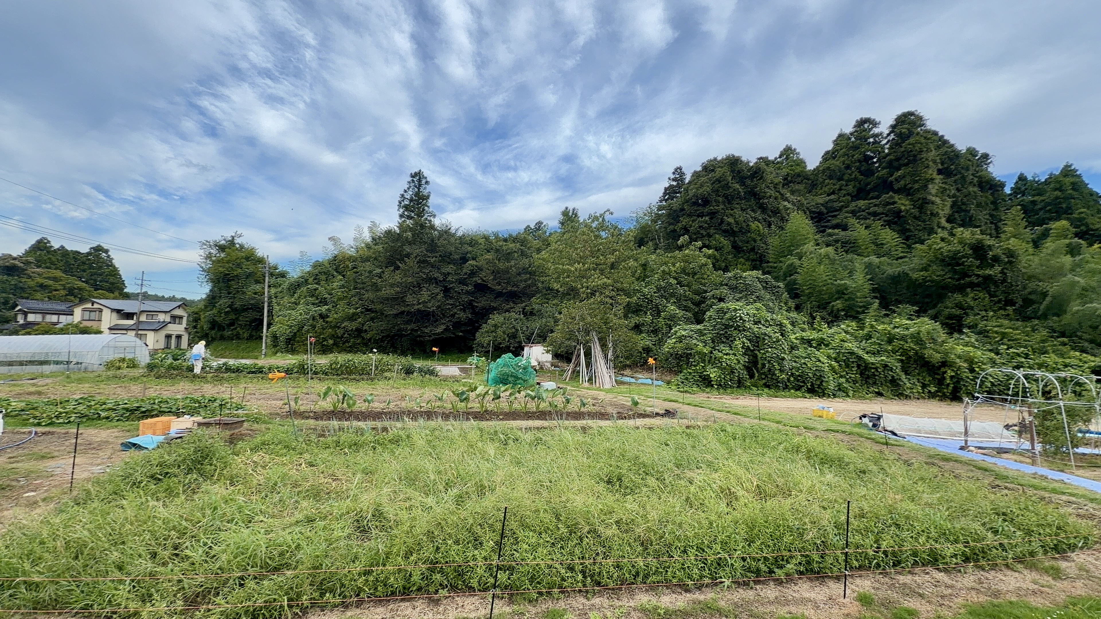 畑と住宅、テントを構える広い菜園の風景