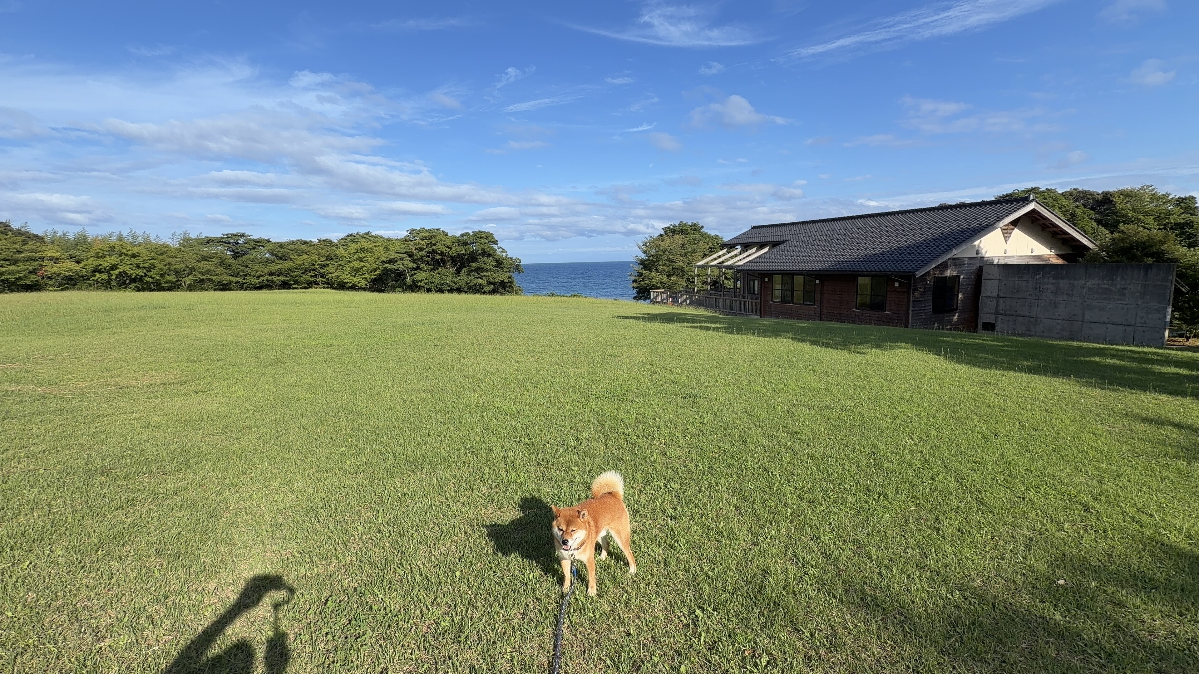 夕方の芝生広場に立つたろーさん。奥にのと海洋ふれあいセンターの建物と青い九十九湾が広がる