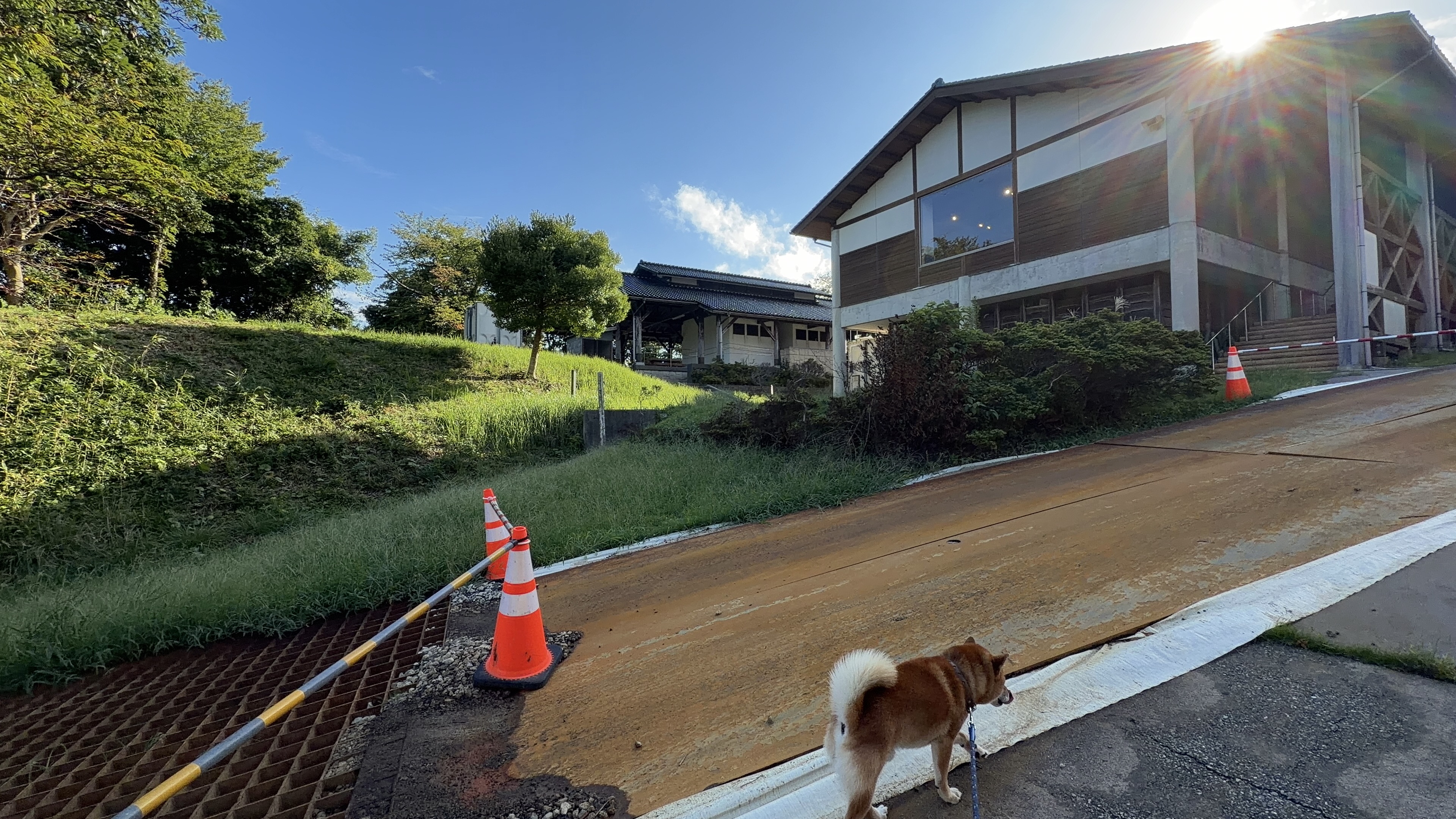 オレンジのコーンが置かれた道を歩くたろーさん。奥に大きな窓のある建物が夕日に照らされている