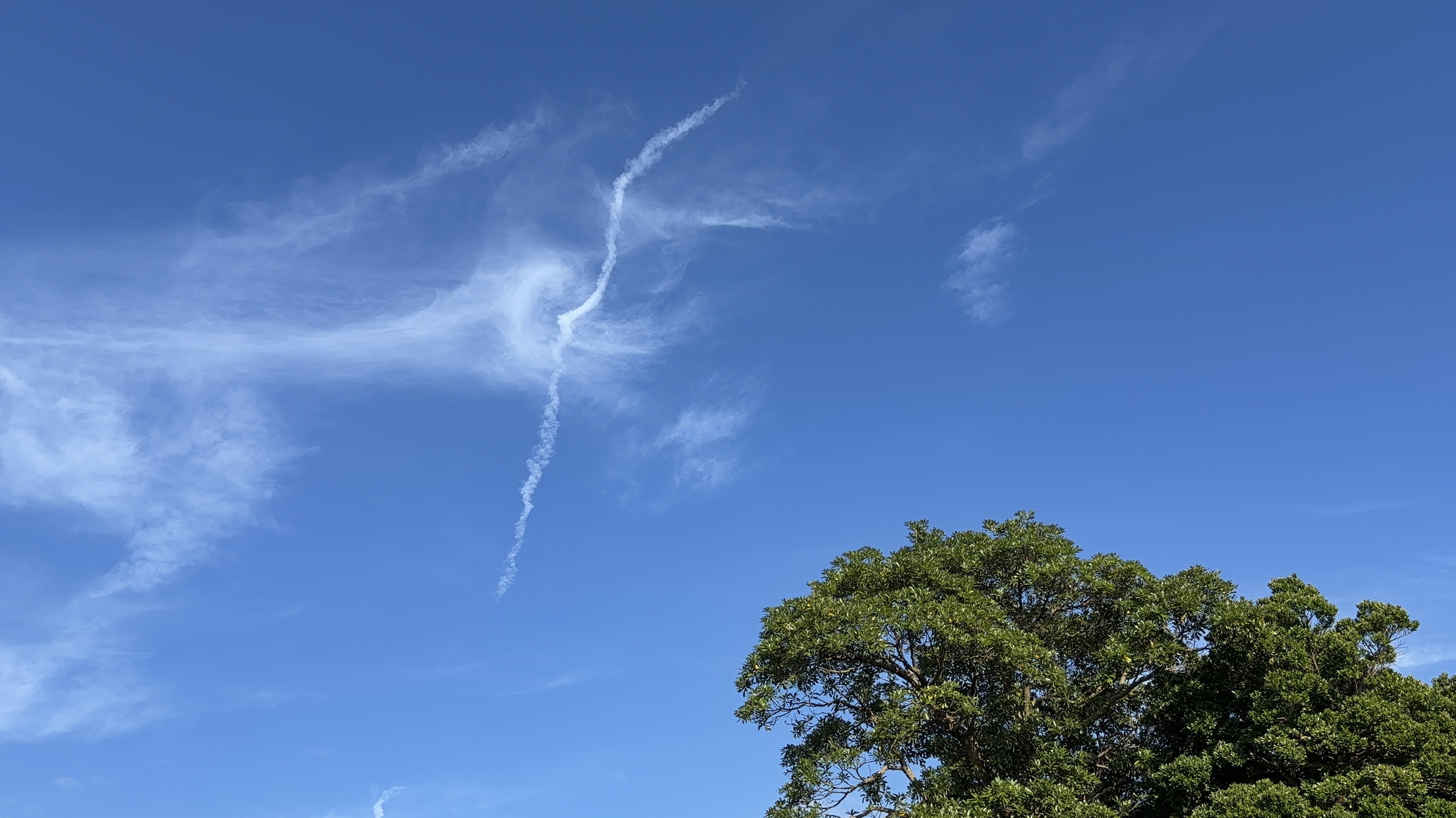 青空に伸びるくっきりとした飛行機雲と、手前の木の緑
