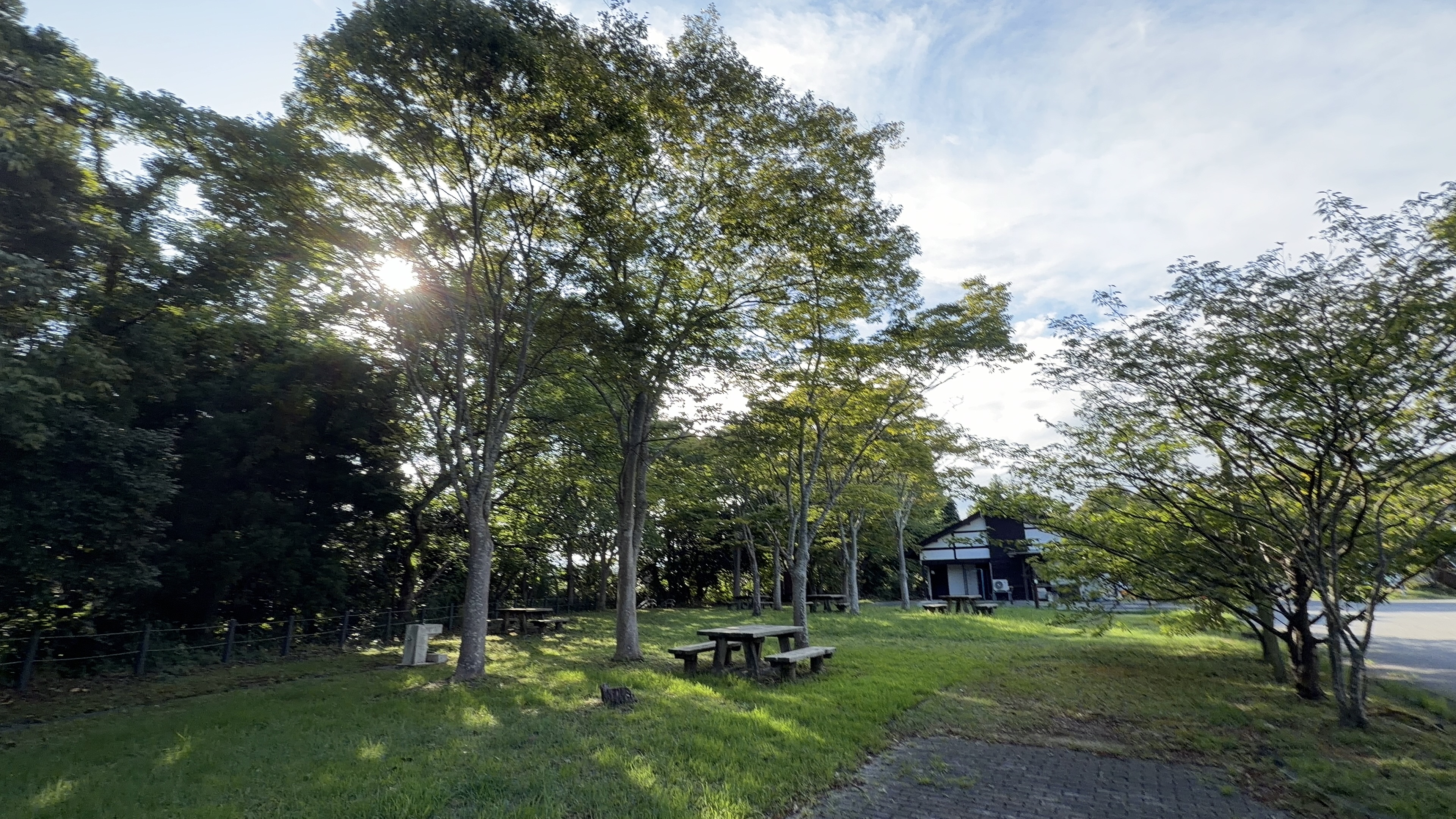 木漏れ日の差す木立の中に並ぶ、木製のベンチとテーブル。奥に建物が見える