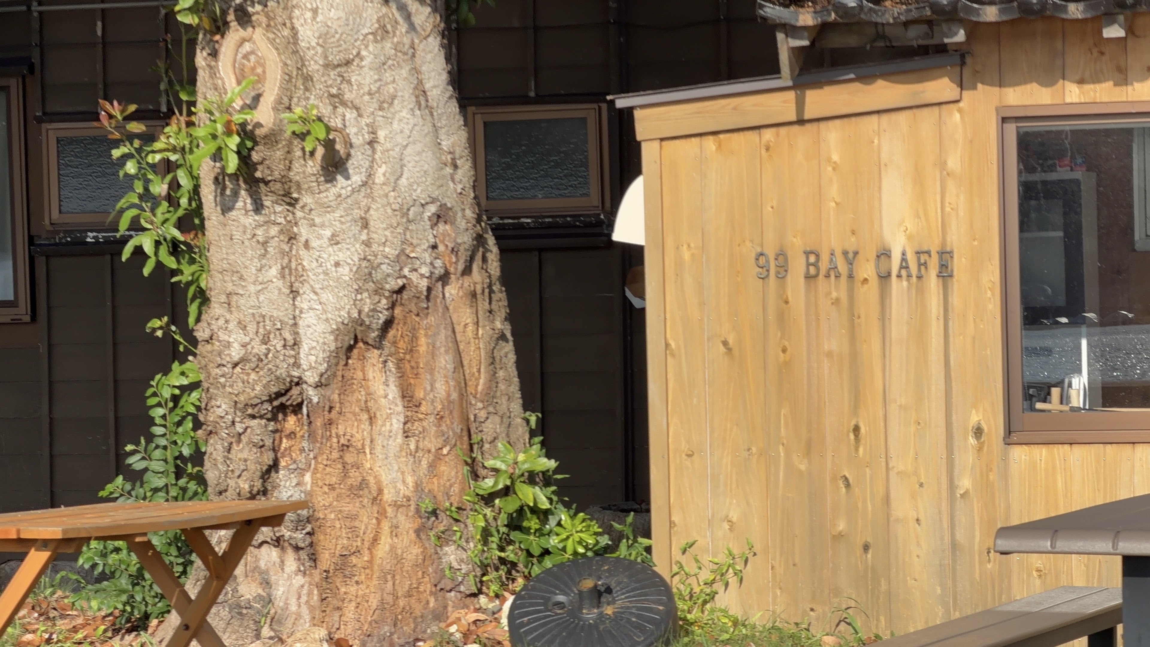 木製の壁に取り付けられた「99 BAY CAFE」の看板。手前に大きな木の幹