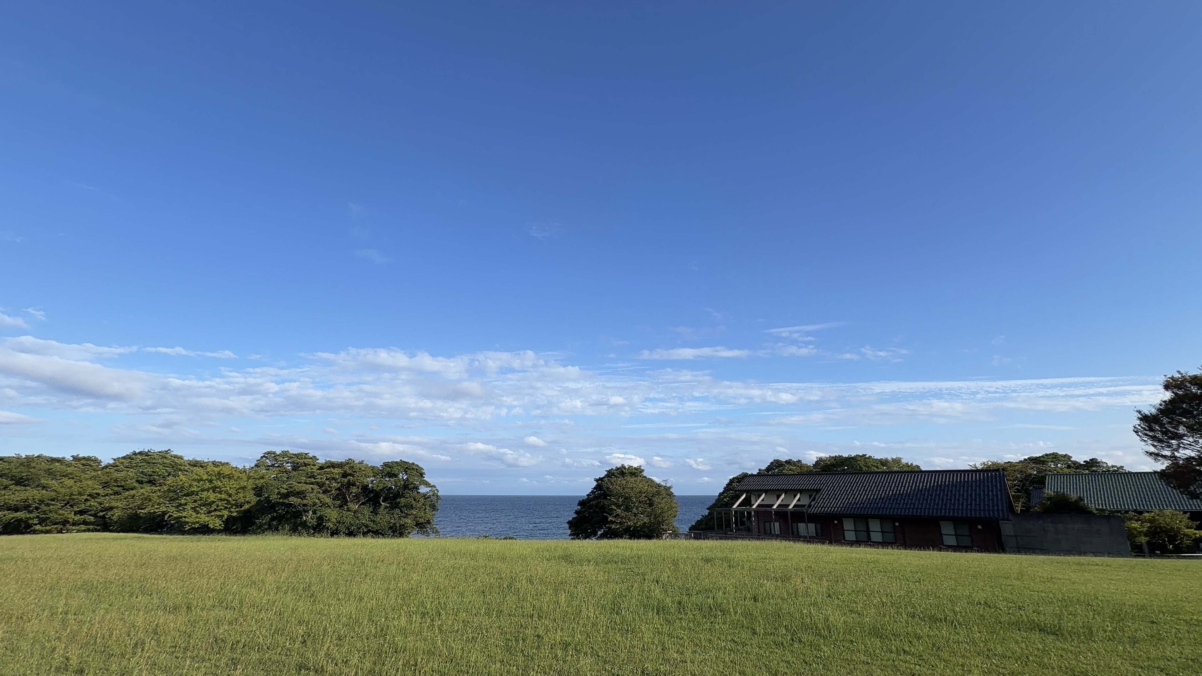青空の下、芝生広場の向こうにのと海洋ふれあいセンターの建物と海が見える。散歩の出発点に戻ってきた景色