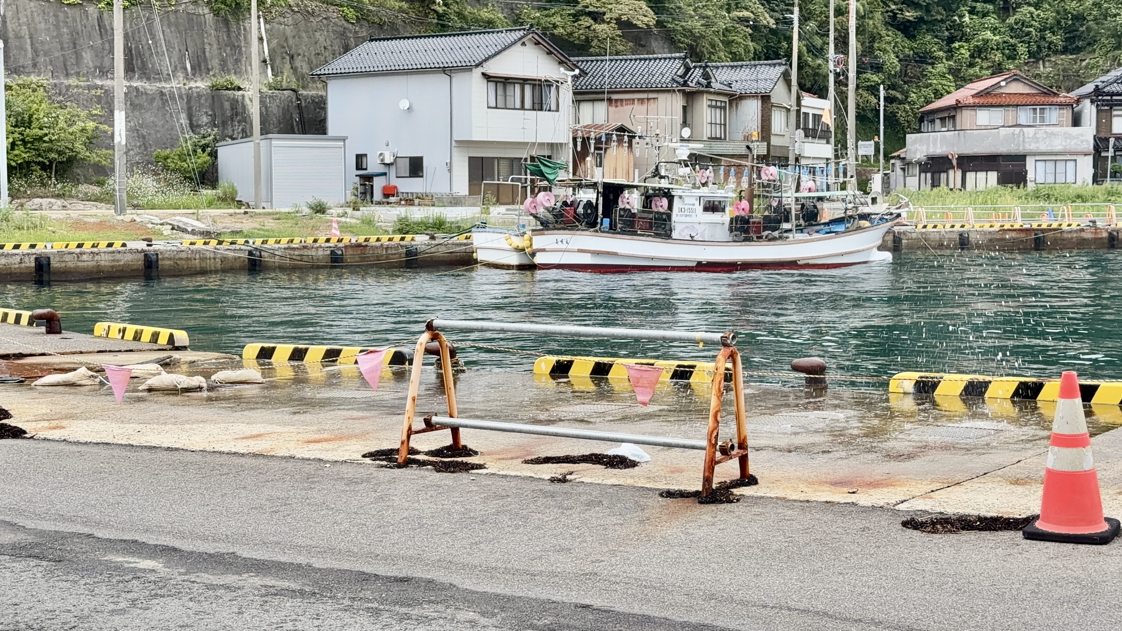 係留された漁船と、山ぎわに建ち並ぶ民家