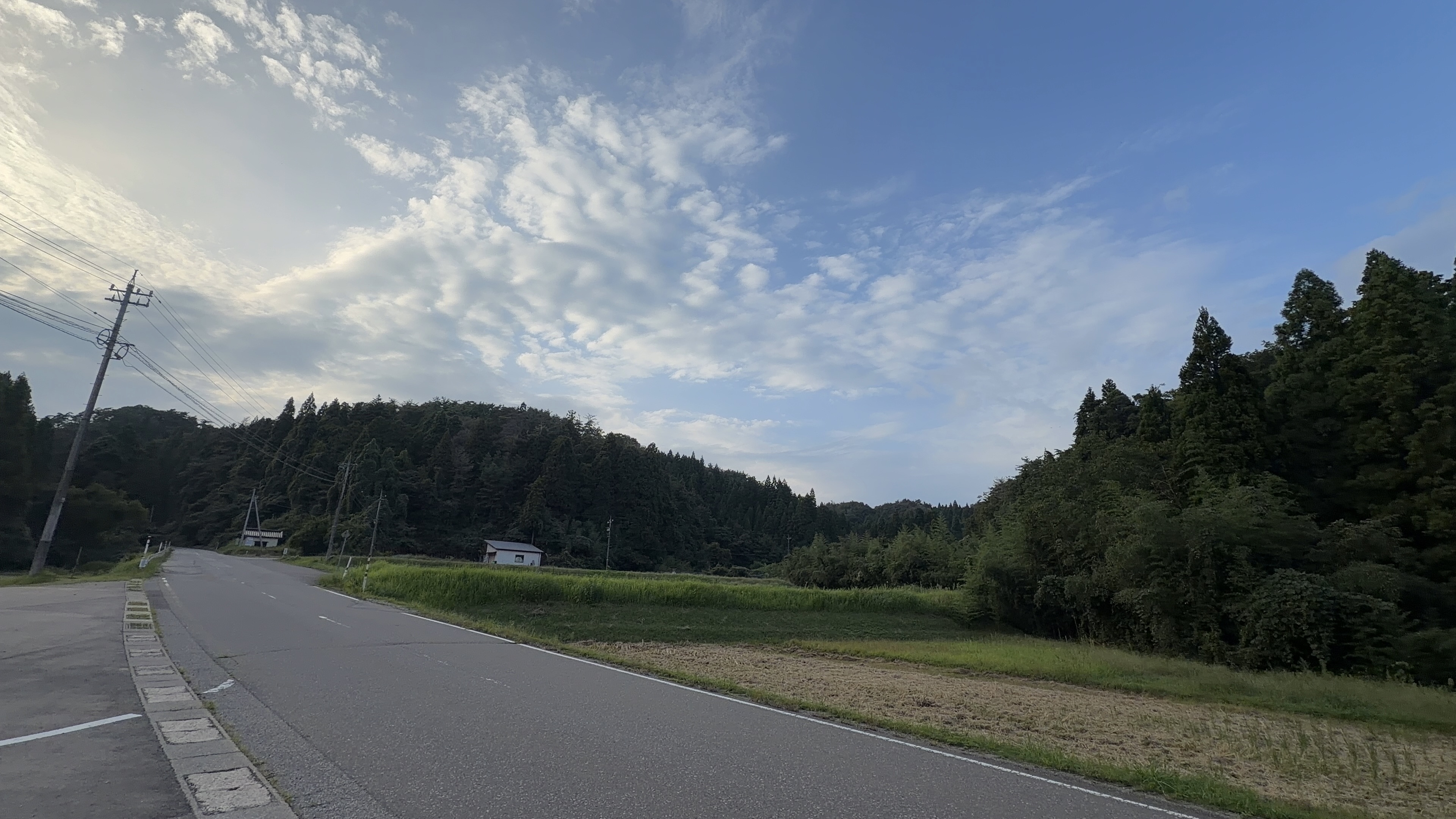 夕方の県道、片側は棚がかった雲の広がる青空、右手に木立と田んぼ