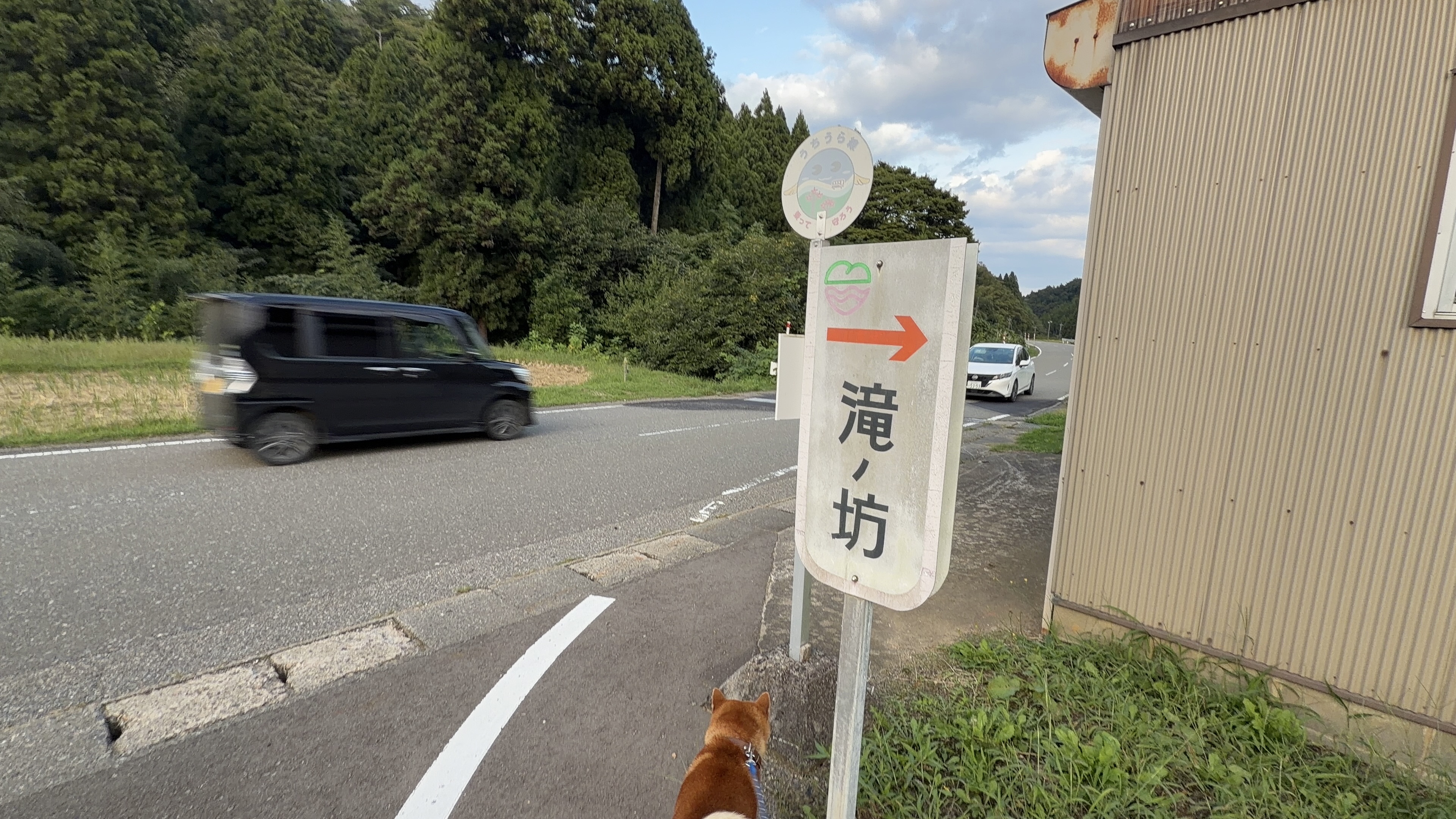 「滝ノ坊」と書かれた案内標識と赤い矢印、手前にたろーさんのしっぽと背中