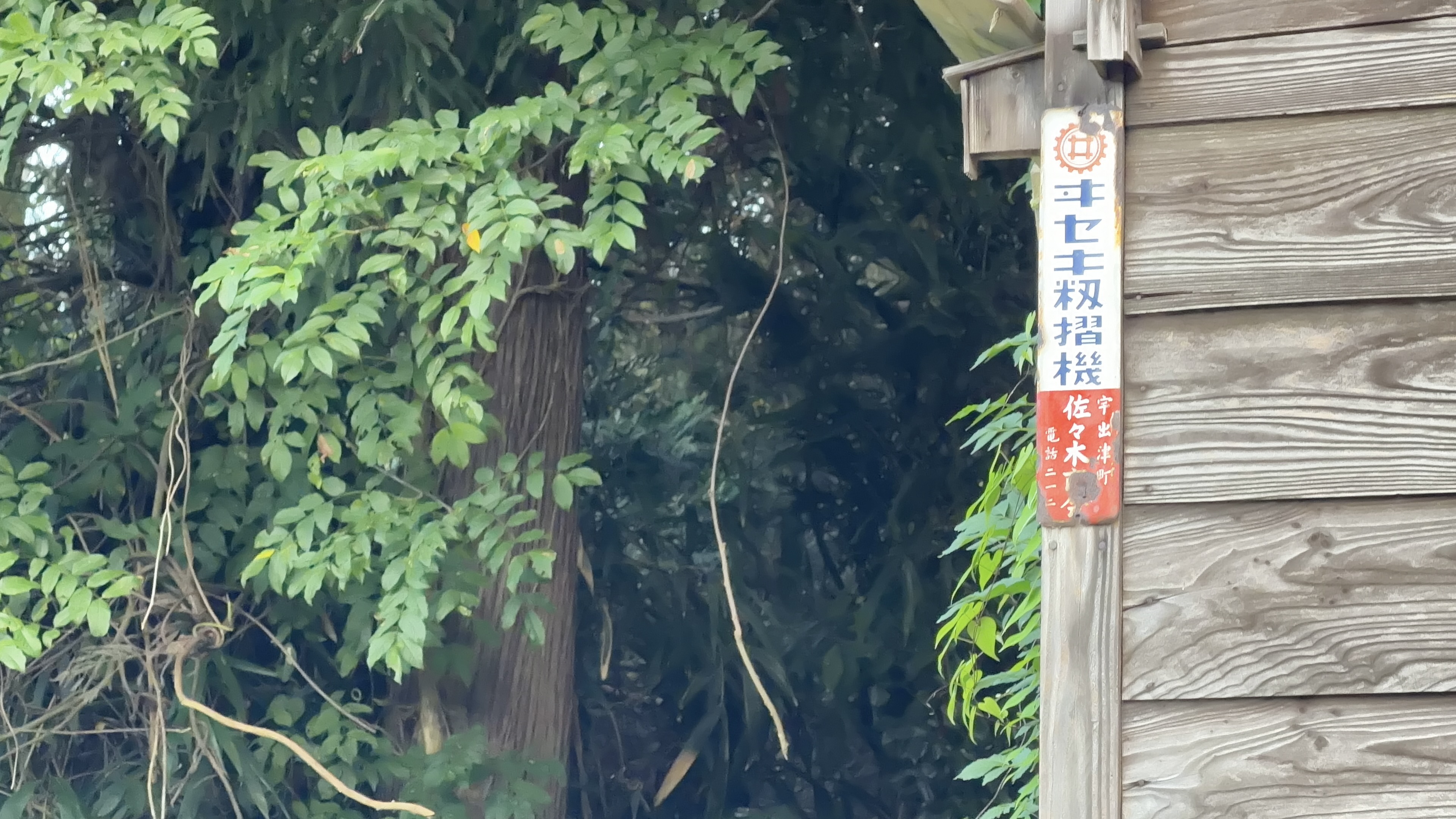 木立とツタに囲まれた、古びた琺瑯の看板。「籾摺機 佐々木」の文字が読める