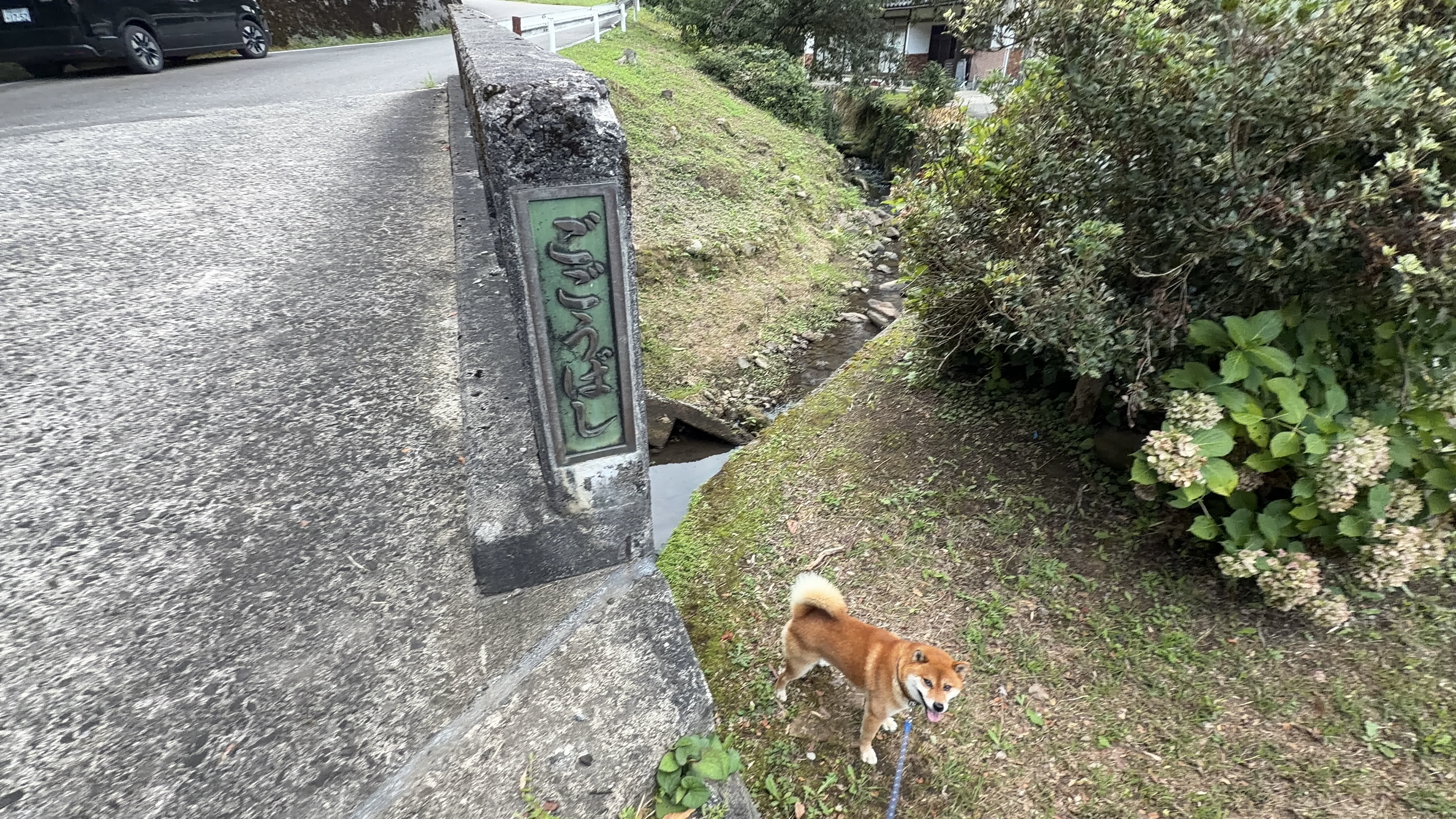 橋の欄干に埋め込まれた緑色の銘板を見上げるたろーさん、ひらがなで「ごごうばし」と刻まれている