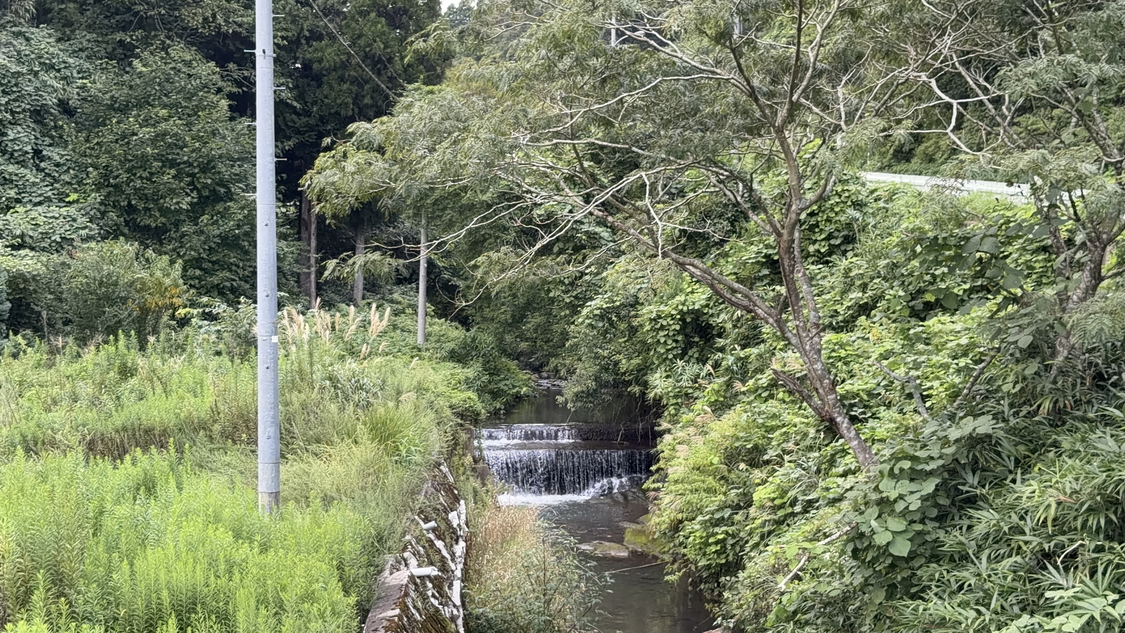 木々に囲まれた谷川にかかる二段になった堰、上段から下段へ水が流れ落ちる