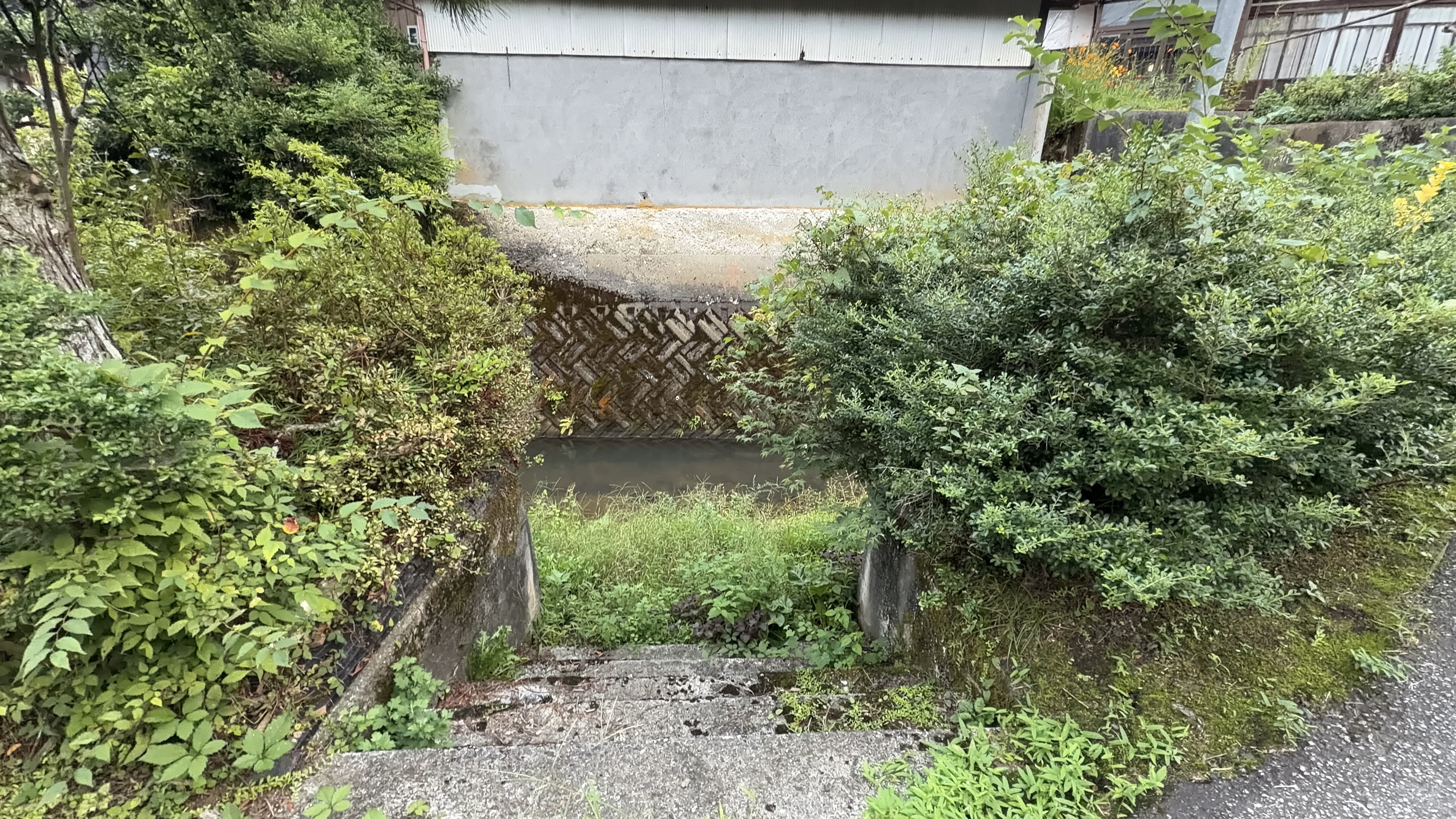 民家の建物の下をくぐって流れる小さな用水路、石積みの護岸と草が生い茂る