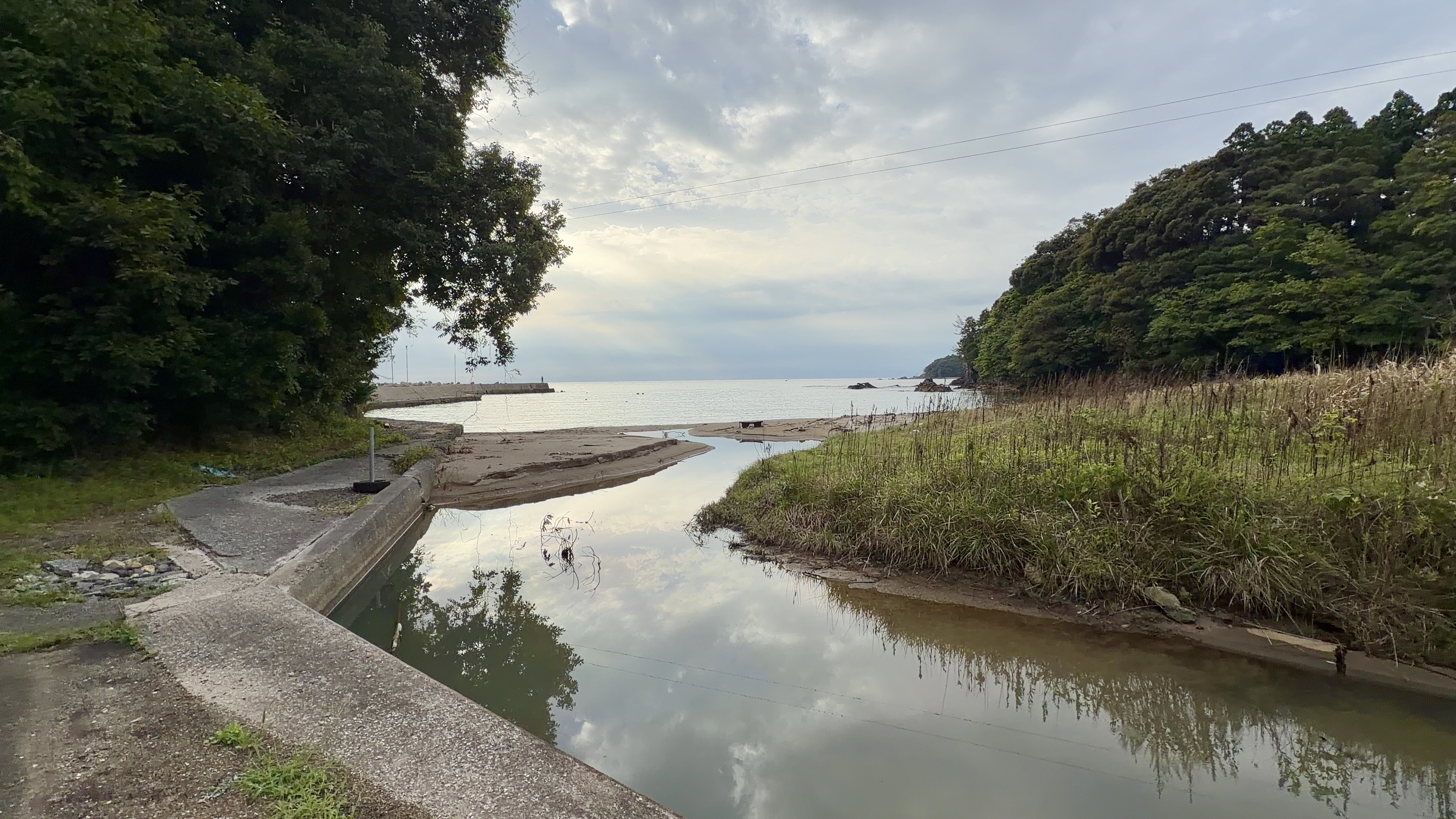河口が浜へとつながる、静かな水面と両岸の草地の眺め