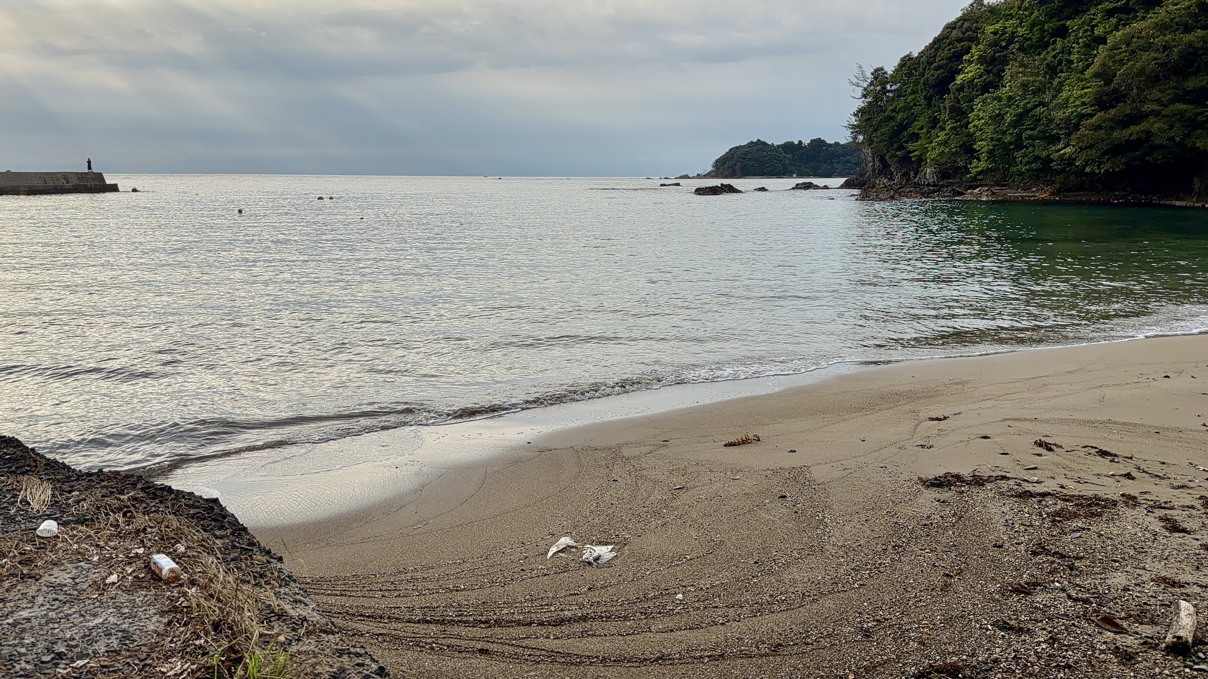 緑がかった水の入り江と、その奥に見える小さな砂浜。右手に岬の緑が茂る