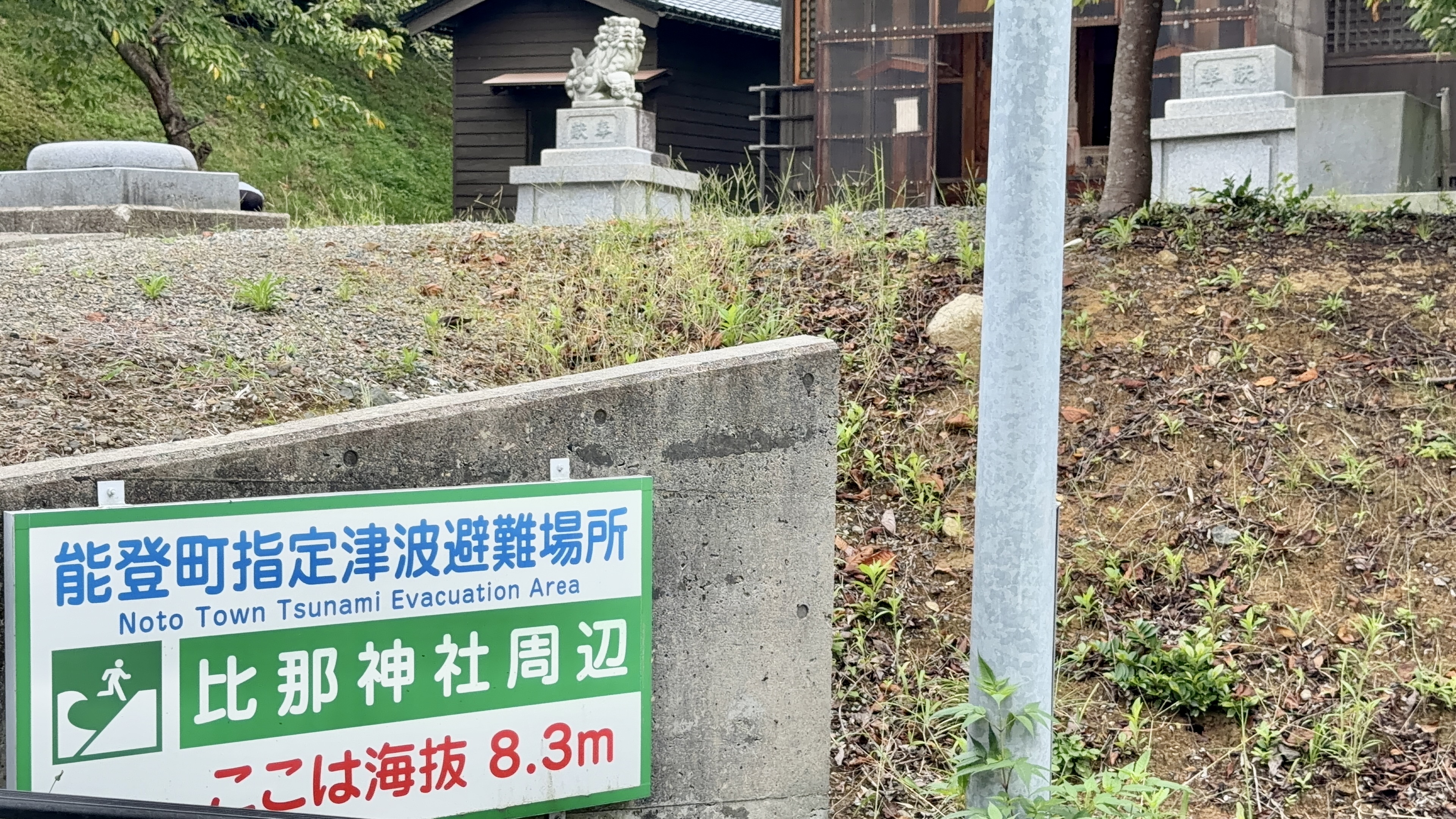 比那神社の狛犬の石像と、「能登町指定津波避難場所 比那神社周辺」の看板