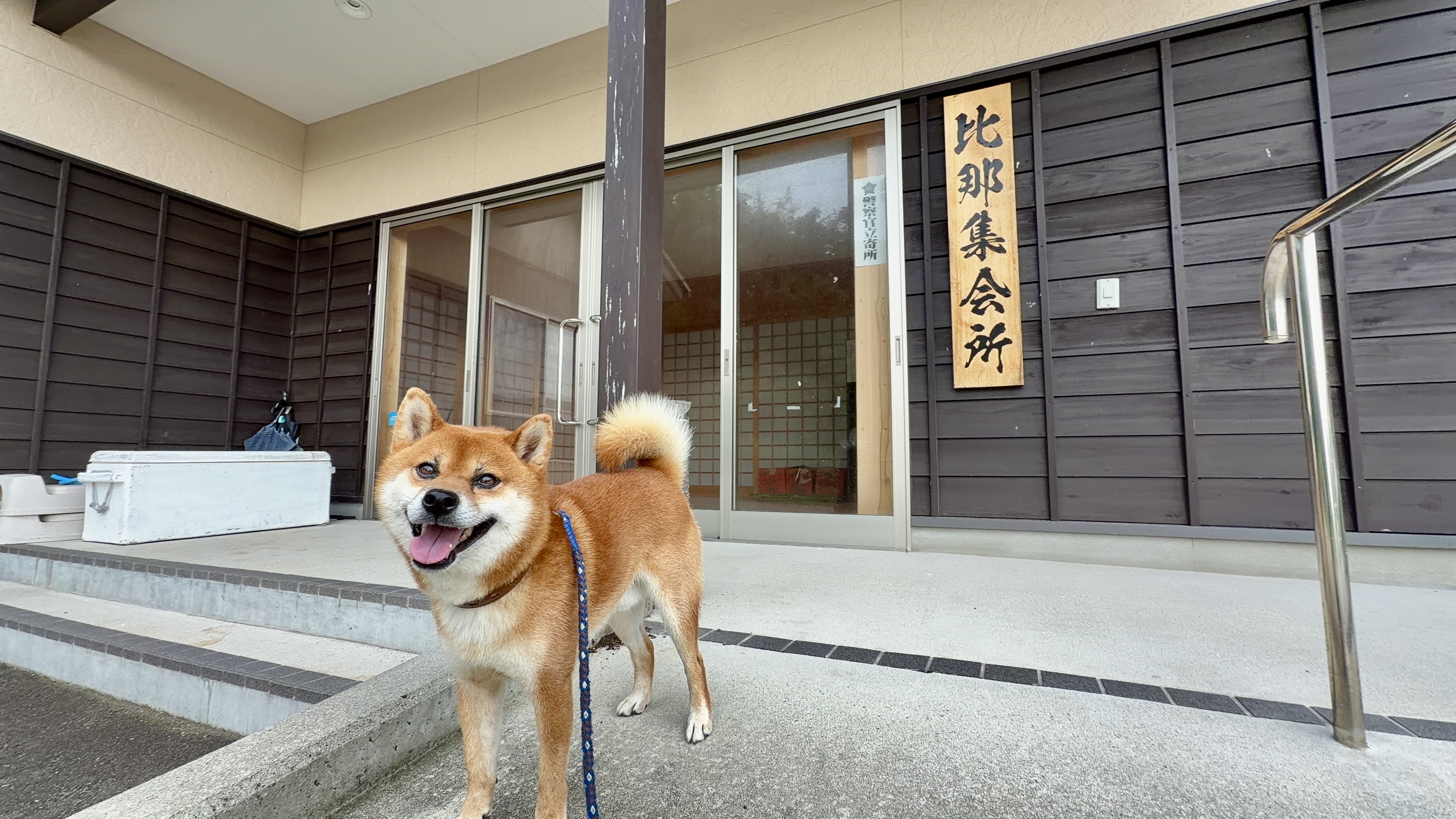 「比那集会所」の看板の前で、しっぽを立てて笑顔で振り返るたろーさん