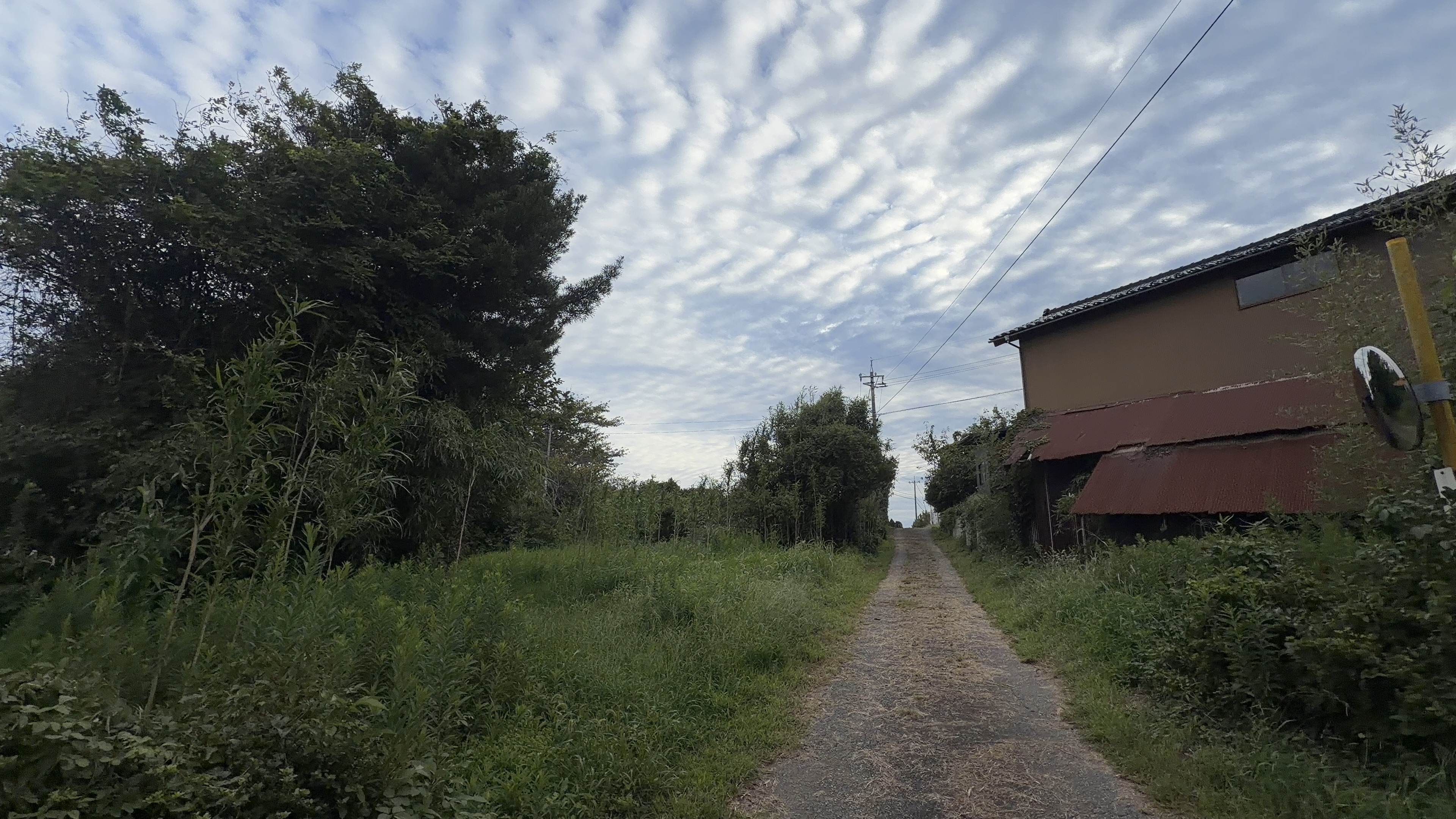 竹林と茂みに挟まれた細い砂利道、右手に赤いトタン屋根の家、奥にうろこ雲の空