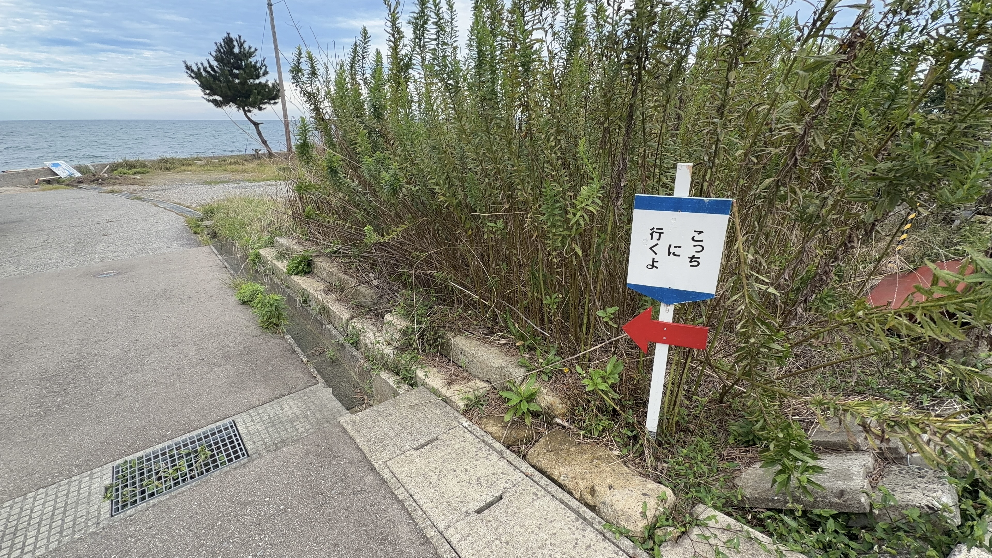 茂みの脇に立つ「こっちに行くよ」の案内看板と赤い矢印、奥に海と松の木