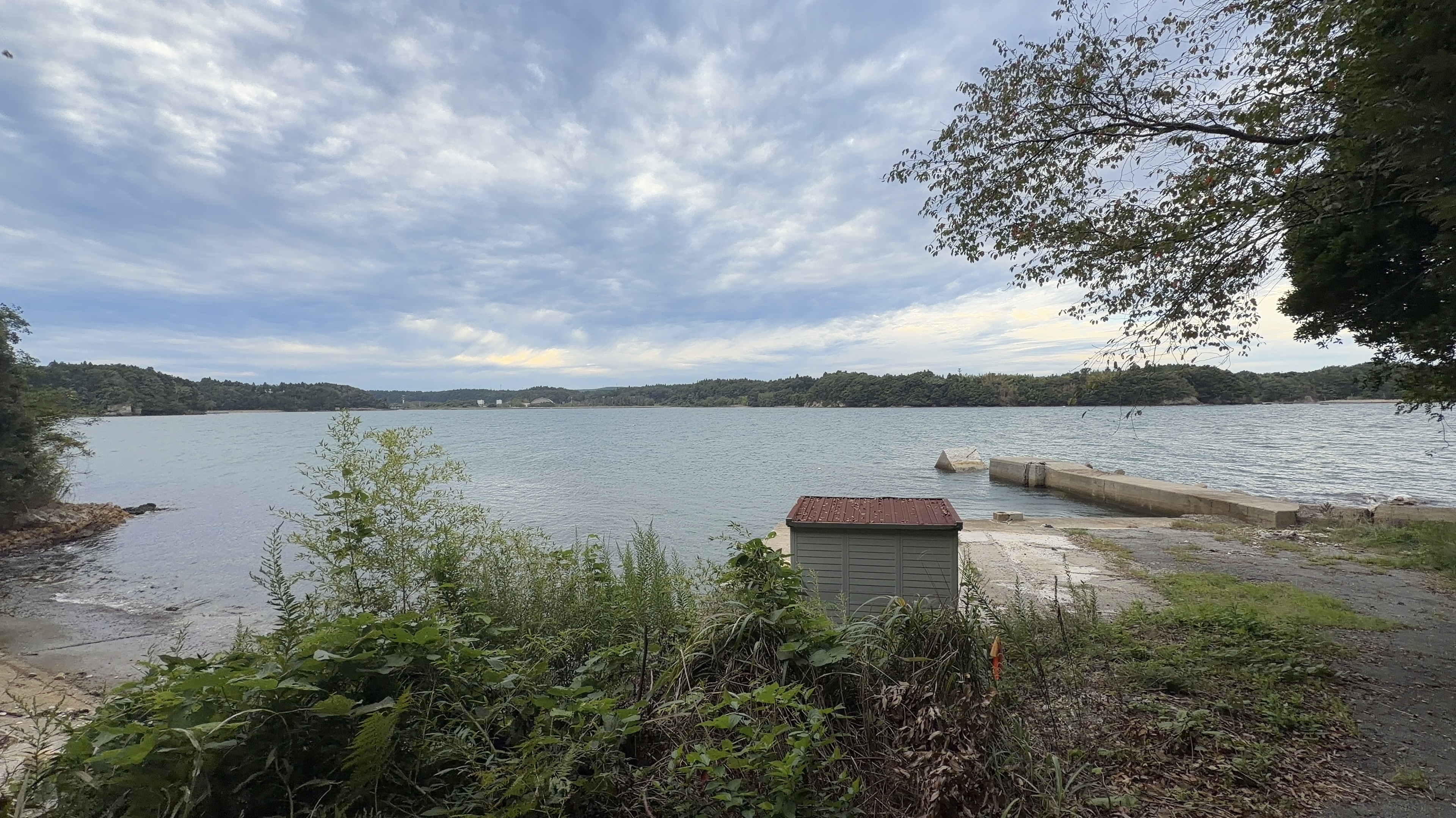 静かな入り江を見下ろす、緑色の小屋とコンクリートの突堤、曇り空の下の海