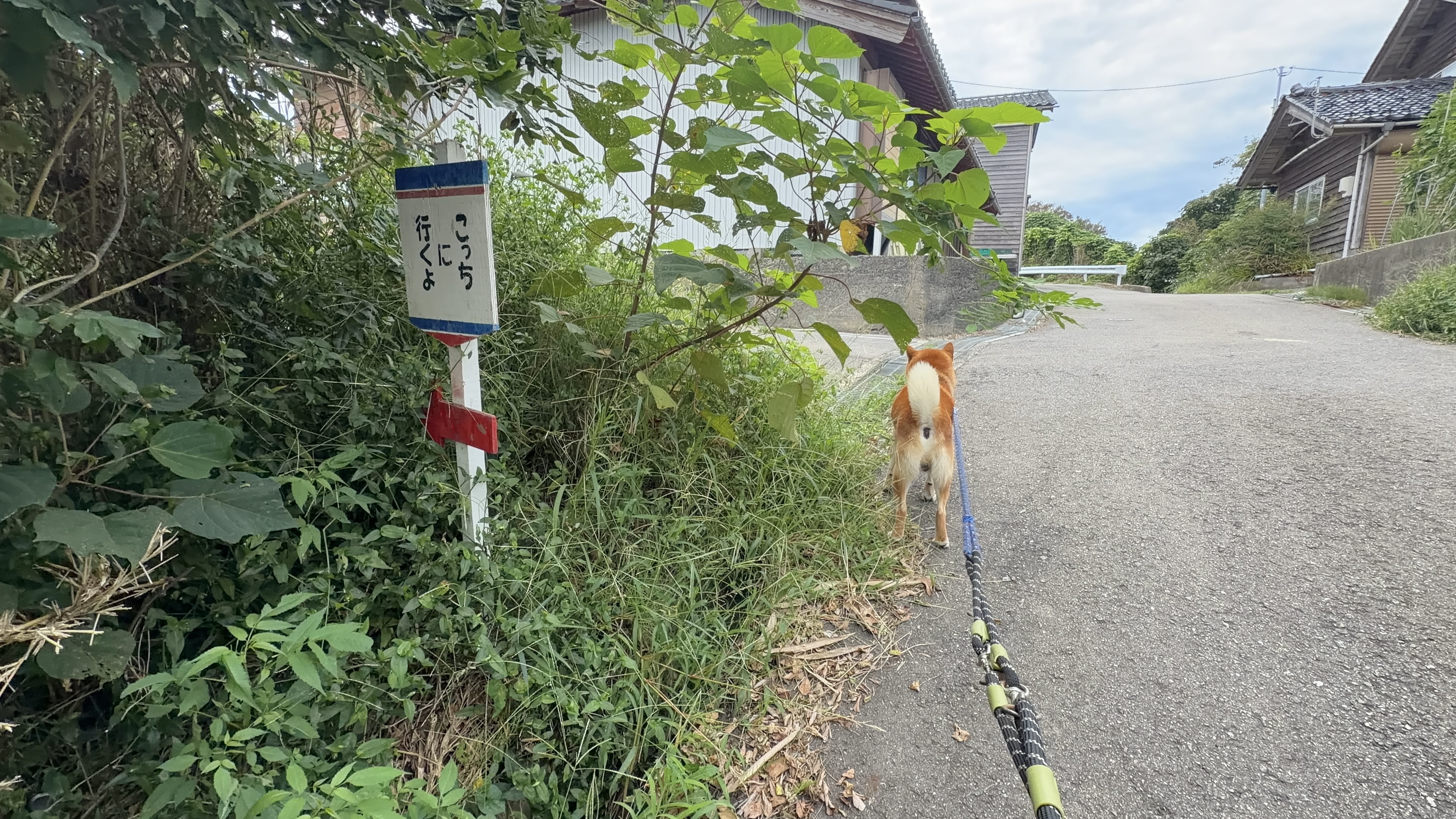 「こっちに行くよ」看板の脇を通り過ぎ、坂道を歩いていくたろーさんの後ろ姿